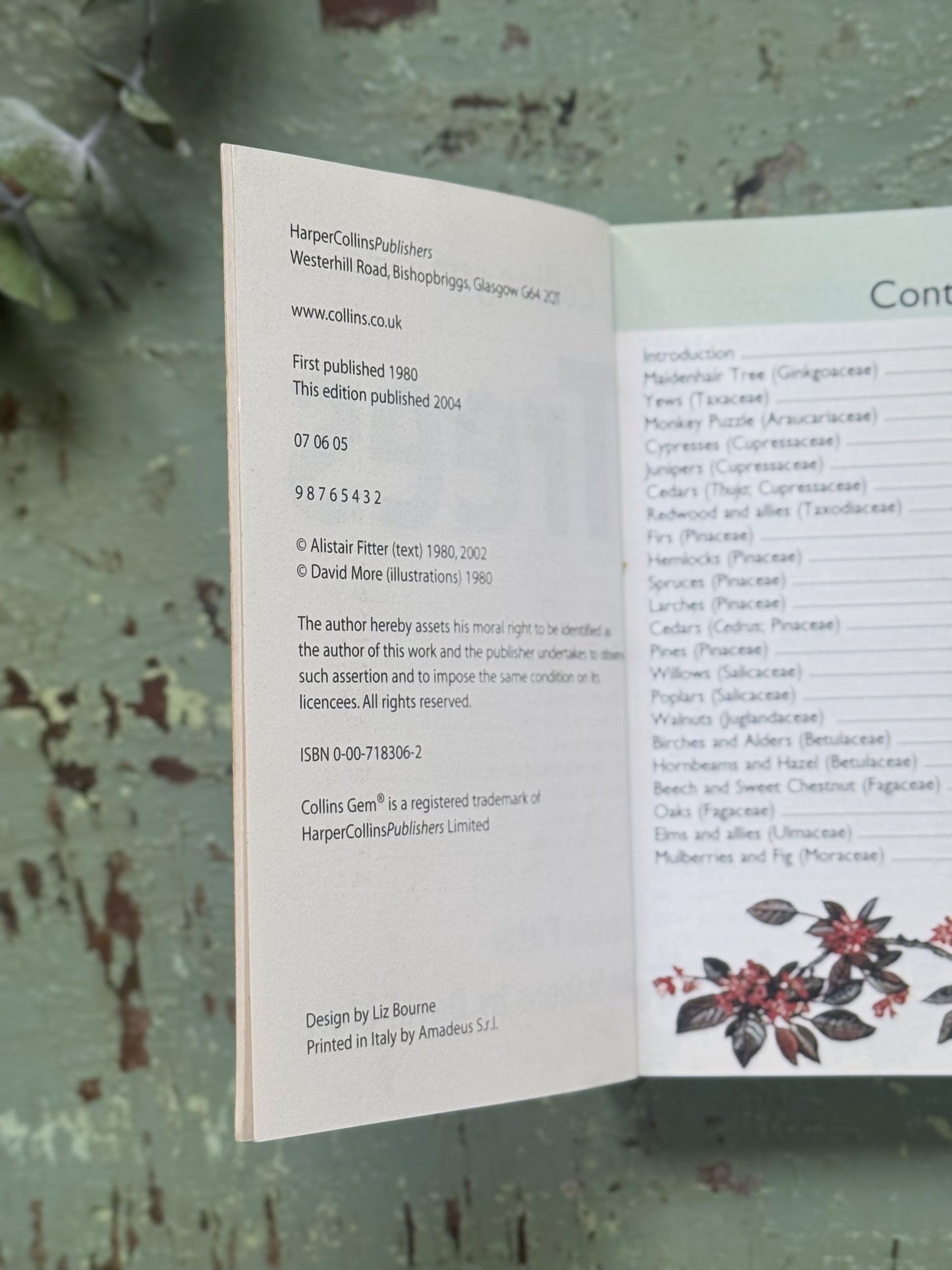 Collins Gem Guide: Trees (2004 Edition) - Pocket Book