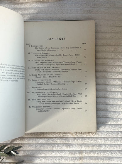 Antique The Common I Know (1909) - Edwardian Nature Study Book with Coloured Plates