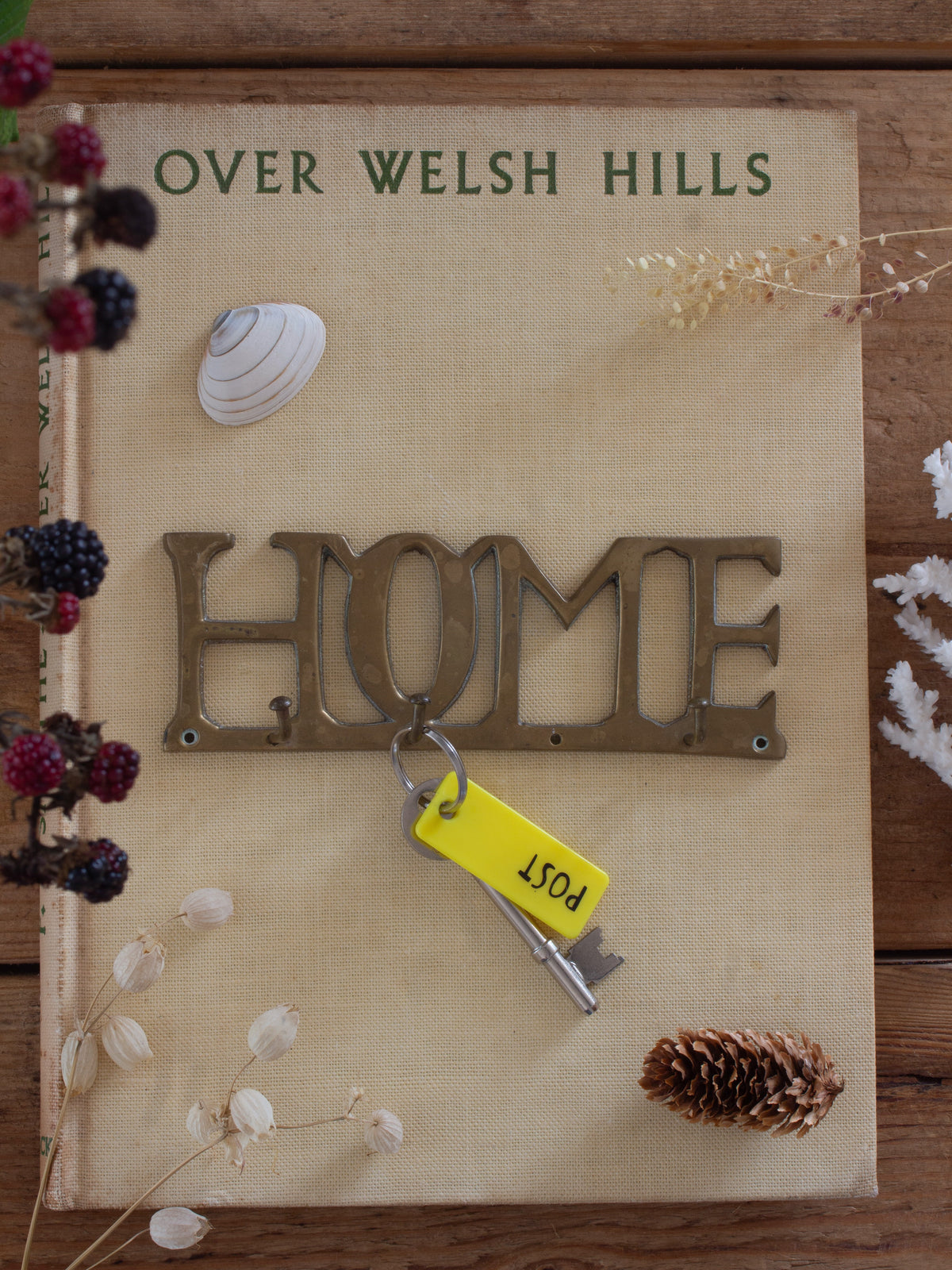 Vintage Solid Brass ‘HOME’ Wall Mounted Key Hooks
