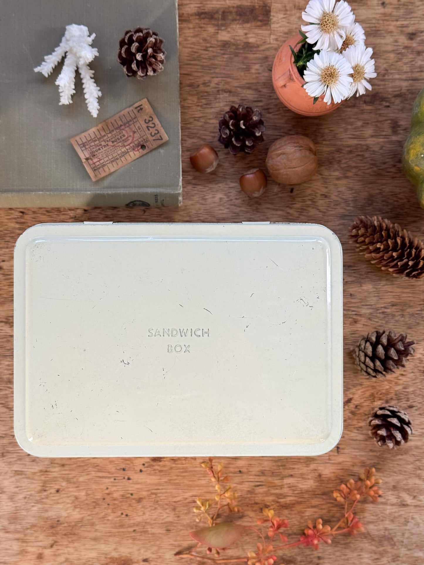 Vintage 1950s Tin Sandwich Box (Option 1)