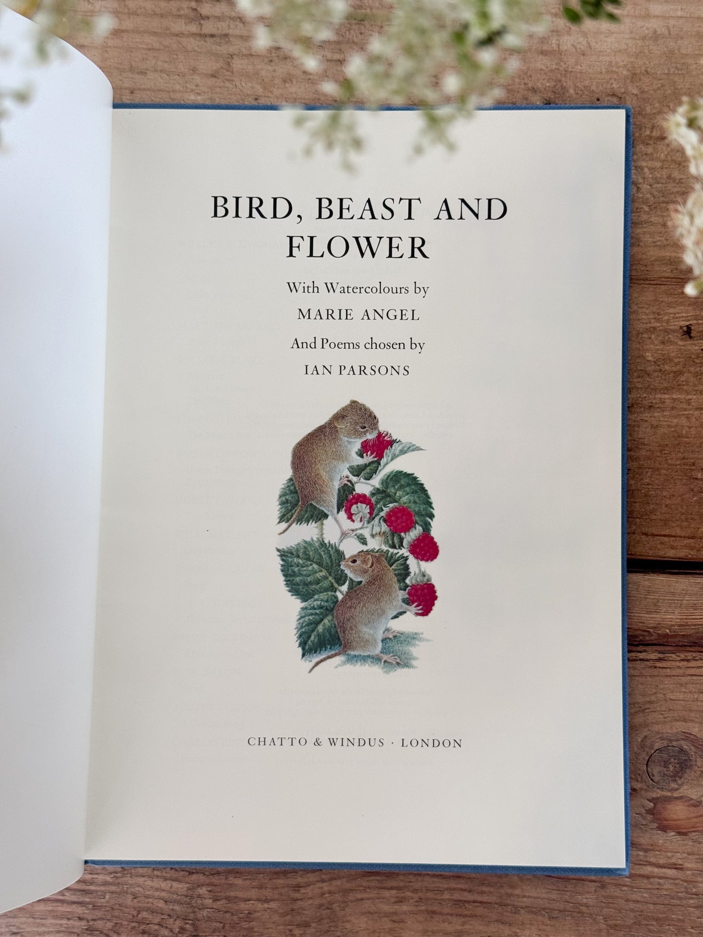 Bird, Beast & Flower by Marie Angel & Ian Parsons | Vintage Illustrated Poetry Book, 1982
