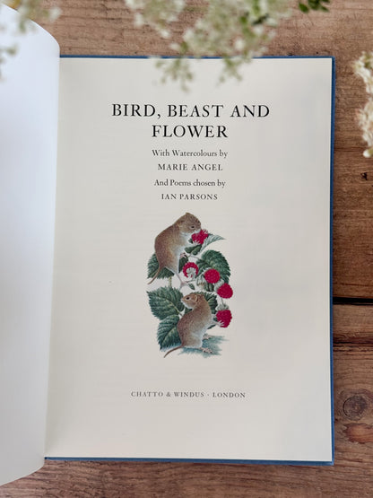 Bird, Beast & Flower by Marie Angel & Ian Parsons | Vintage Illustrated Poetry Book, 1982