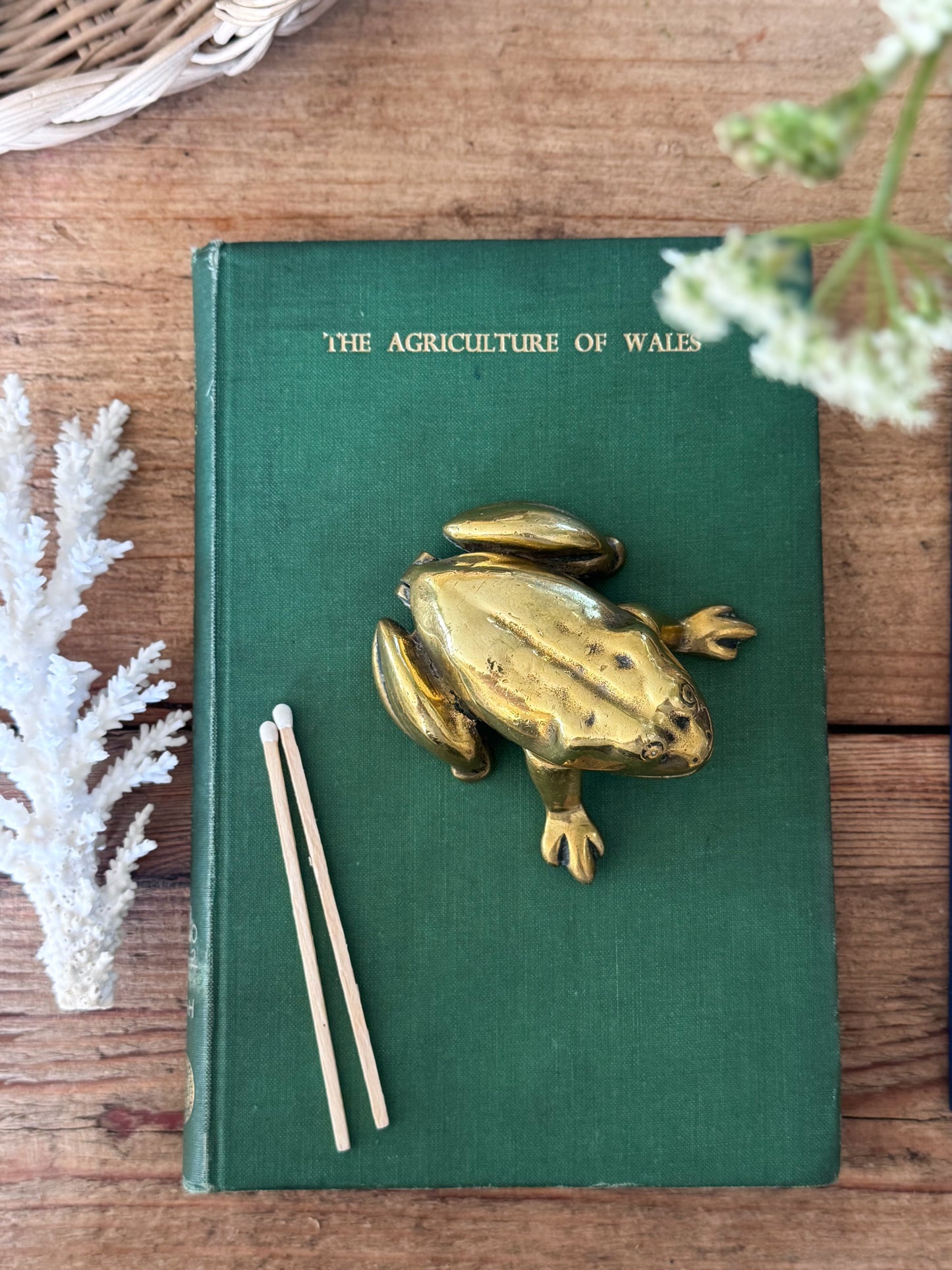 Vintage Solid Brass Frog Trinket Box