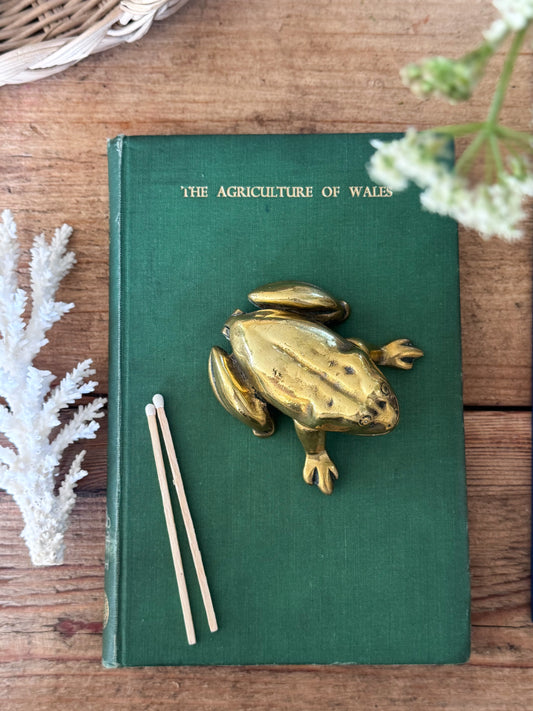 Vintage Solid Brass Frog Trinket Box