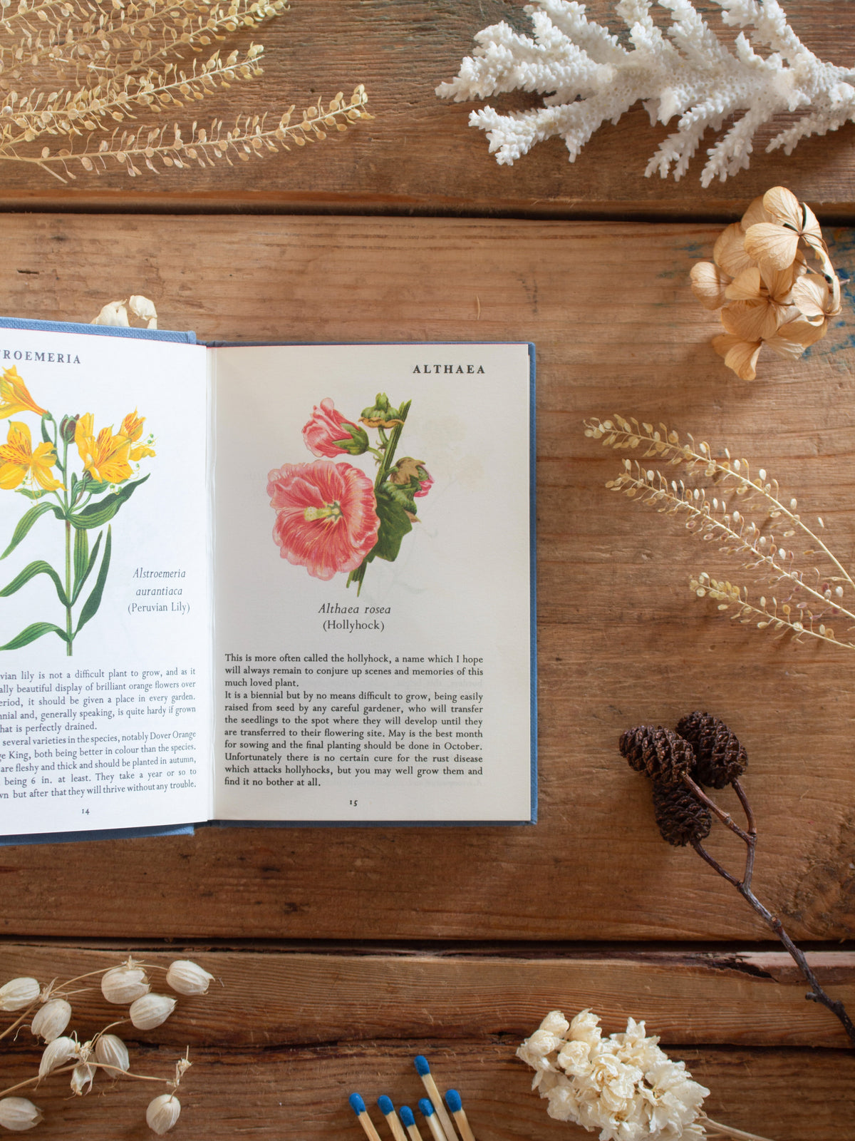 Vintage Amateur Gardening Pocket Book of Garden Flowers by J. S. Dakers, 1969