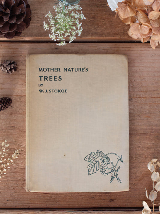Vintage 1939 ‘Mother Nature’s Trees’ by W. J. Stokoe