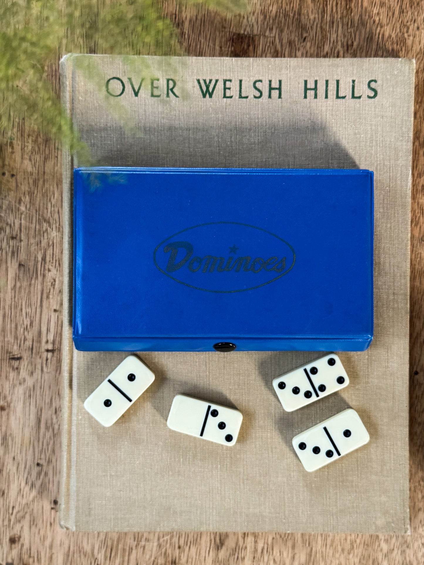 Vintage Midcentury Melamine Dominoes Set | Blue Case | Complete Set of 28