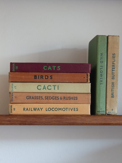 ‘Build Your Own’ Vintage Observer's Pocket Book Bundle