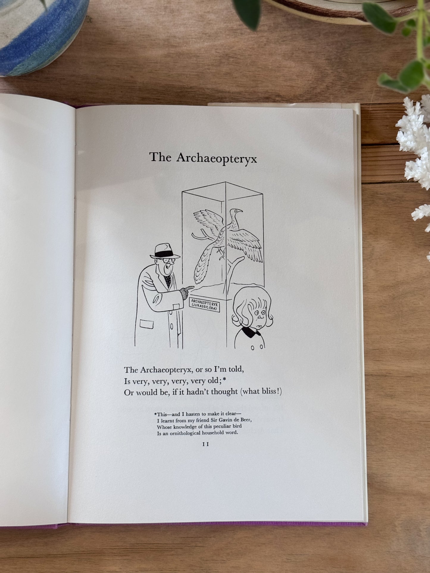 Nicolas Bentley’s Book of Birds, An Avian Alphabet, 1965 (First Edition)