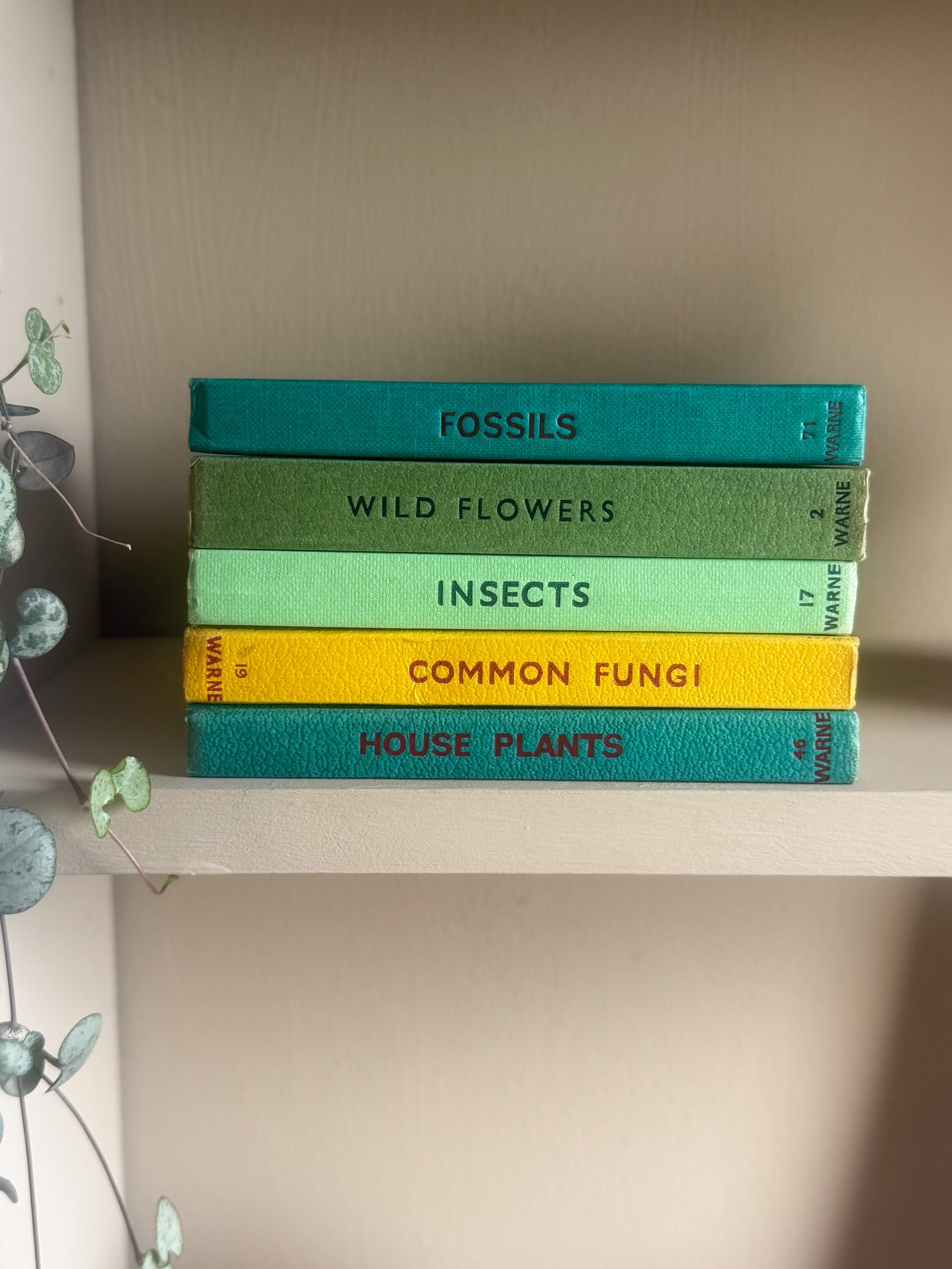 ‘Build Your Own’ Vintage Observer Pocket Book Bundle