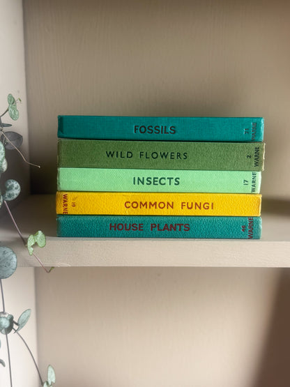 ‘Build Your Own’ Vintage Observer Pocket Book Bundle