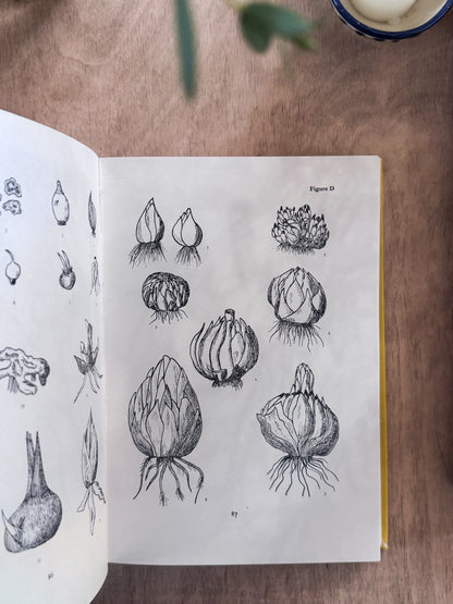 The Bulb Book, Paul Schauenberg, 1965