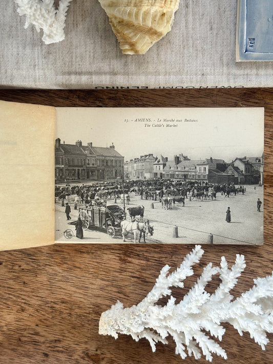 Vintage French ‘Amiens’ Postcard Booklet - Complete with 20 Unused Cartes Postales