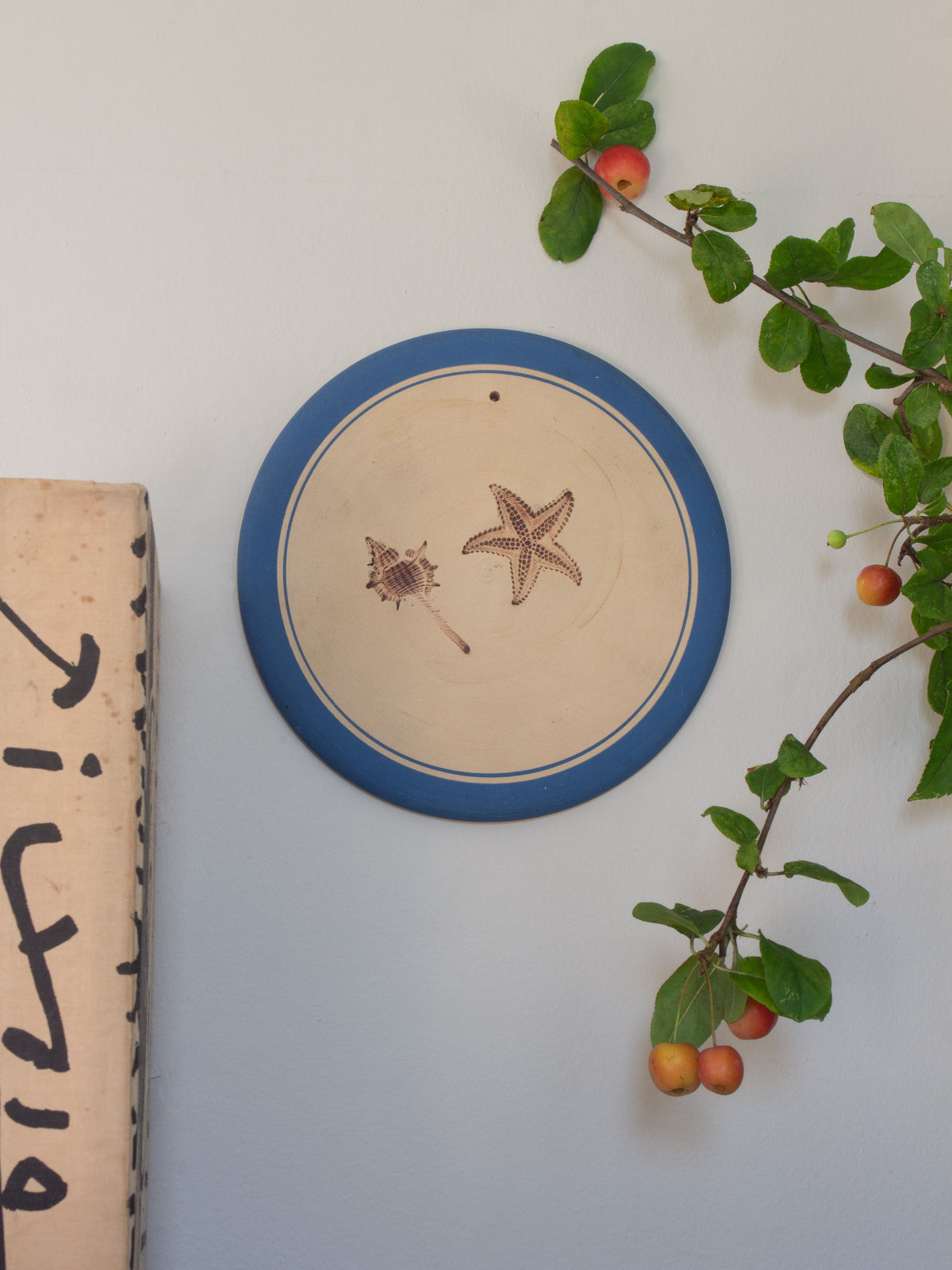 Vintage Studio Pottery Seaside Wall Plate • Shell & Starfish