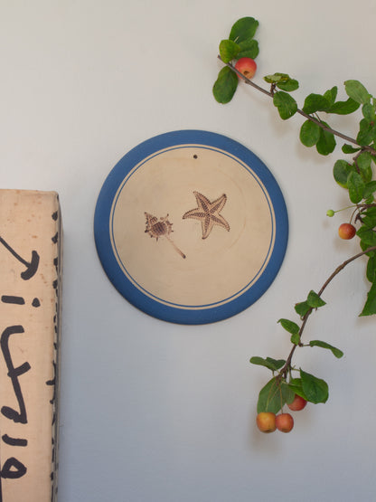 Vintage Studio Pottery Seaside Wall Plate • Shell & Starfish