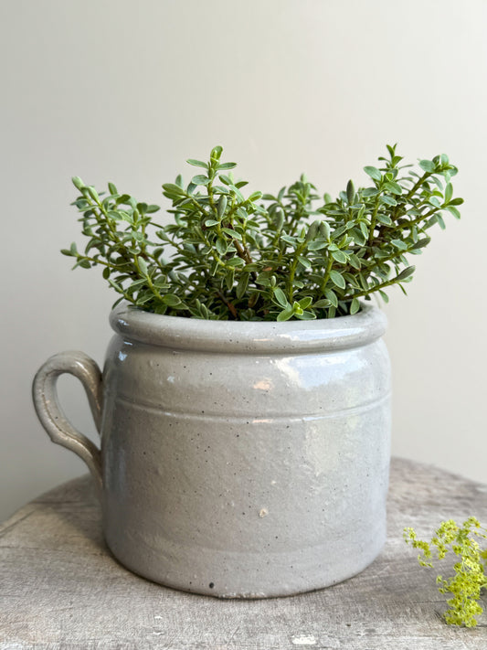 Antique Grey French Stoneware Confit Pot (Medium)