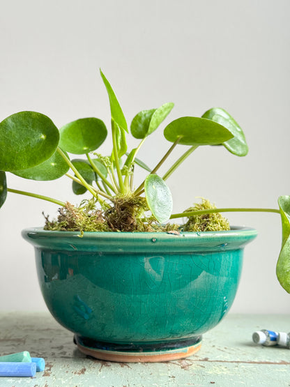 Antique Green Glazed Ceramic Bowl