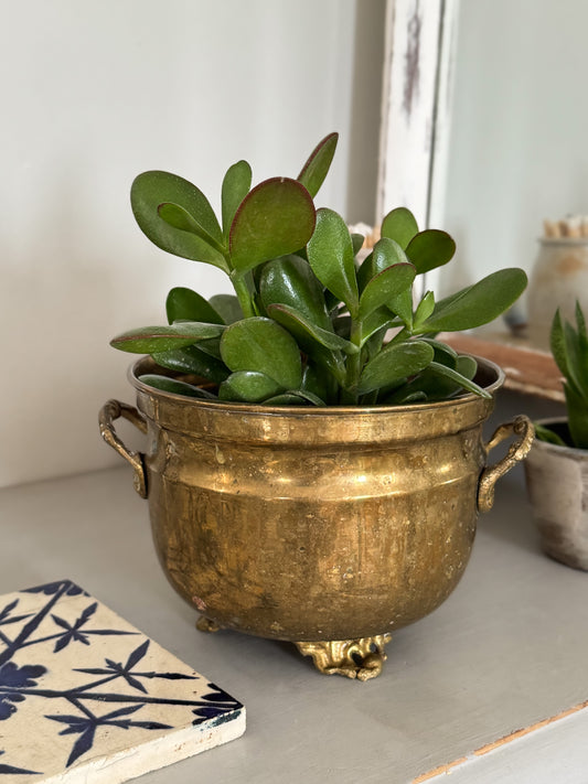 Vintage Indian Brass Cauldron Planter