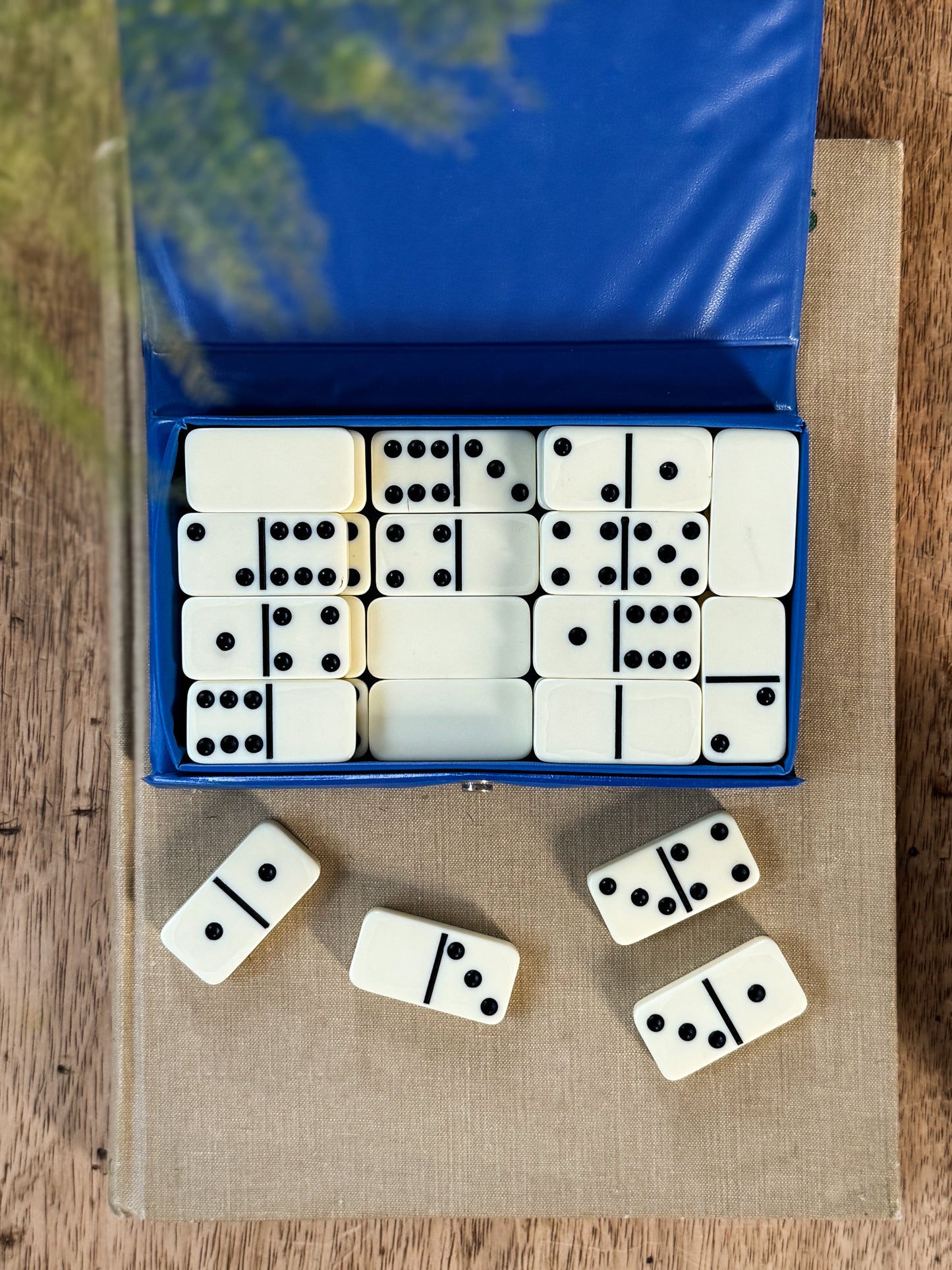 Vintage Midcentury Melamine Dominoes Set | Blue Case | Complete Set of 28