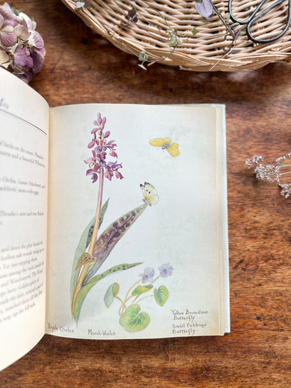 The Nature Notes Of An Edwardian Lady, Edith Holden, 1989