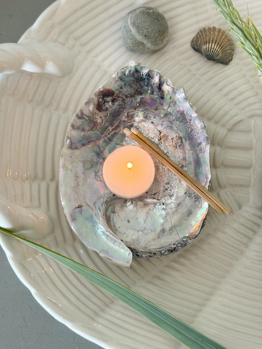 Natural Pearlescent Abalone Shell