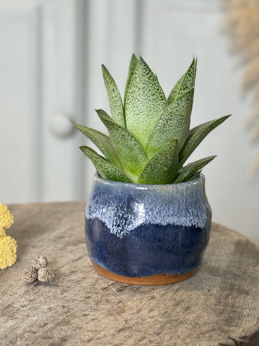 Small Blue Studio Pottery Drip Glaze Pot