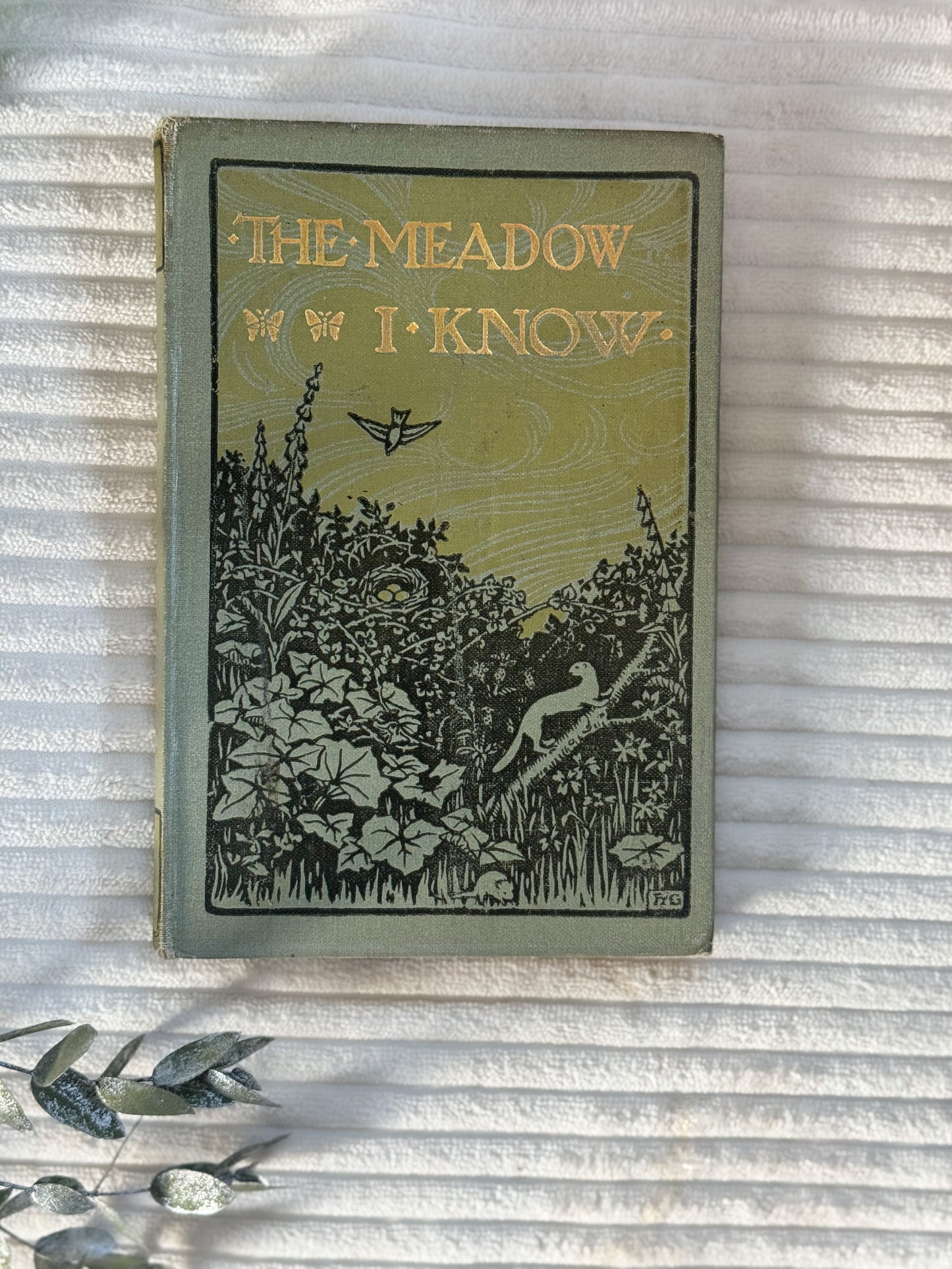 Antique The Meadow I Know (1909) - Edwardian Nature Study Book with Coloured Plates
