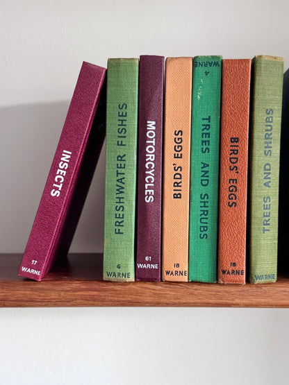 ‘Build Your Own’ Vintage Observer Pocket Book Bundle