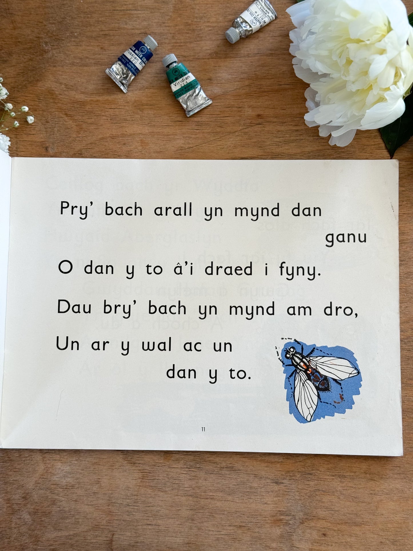 Pethau Tlws (Pretty Things) gan Mari Wynn Meredith, tua / circa 1950s