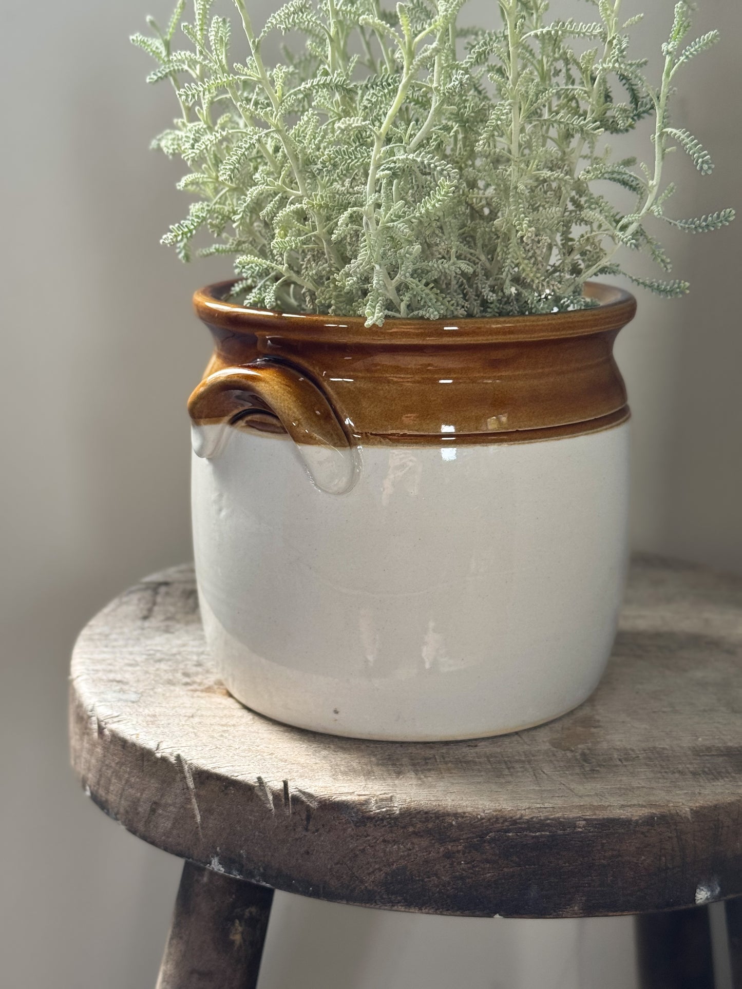 Vintage T. G. Green & Co. Two-Tone Handled Storage Pot
