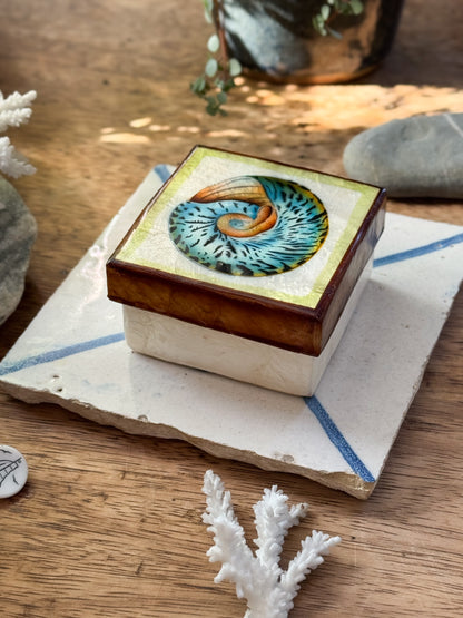 Vintage Capiz Shell Box with Spiral Shell Illustration