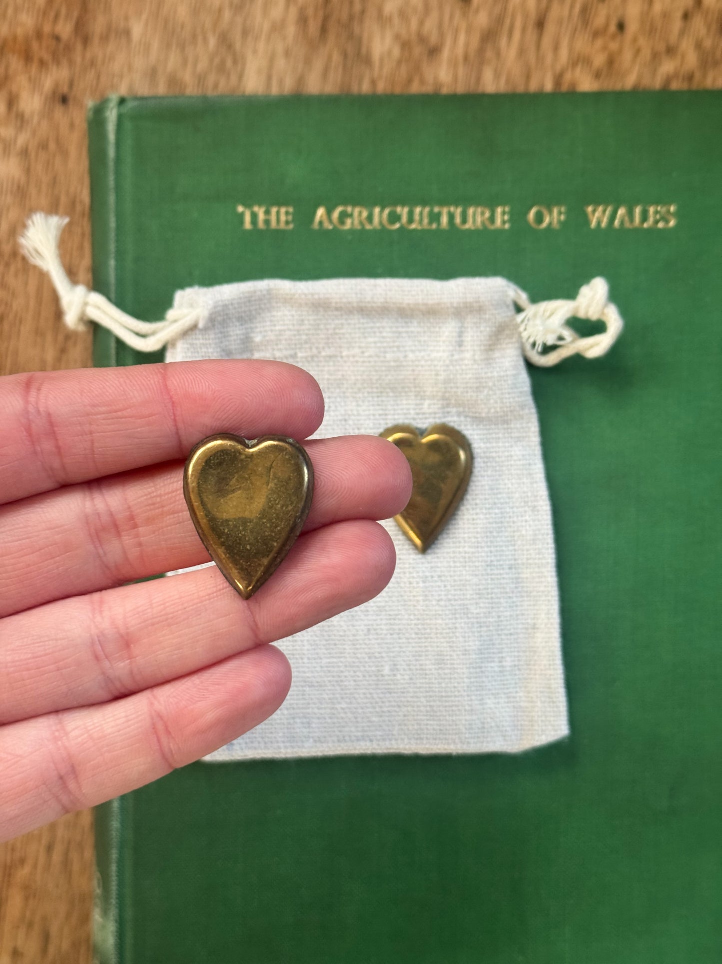 Antique Brass Heart Love Tokens (Pair)