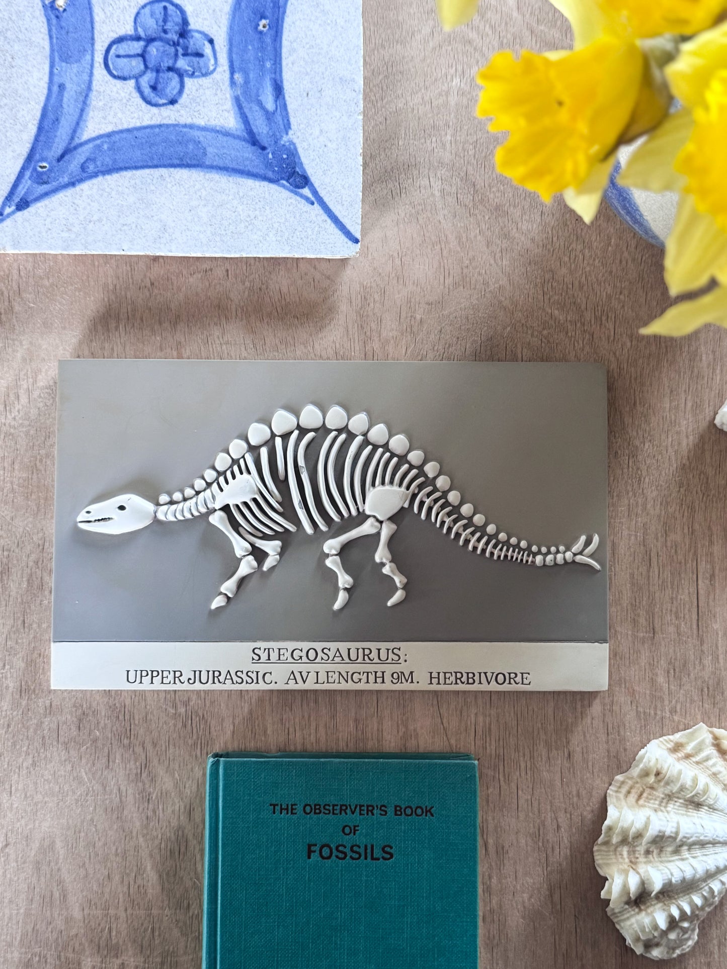 Vintage Natural History Stegosaurus Skeleton Wall Plaque Tile