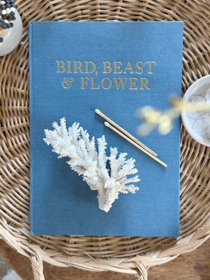 Natural Coral Specimen | 14cm x 8cm