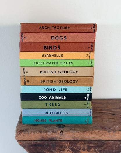 ‘Build Your Own’ Vintage Observer Pocket Book Bundle