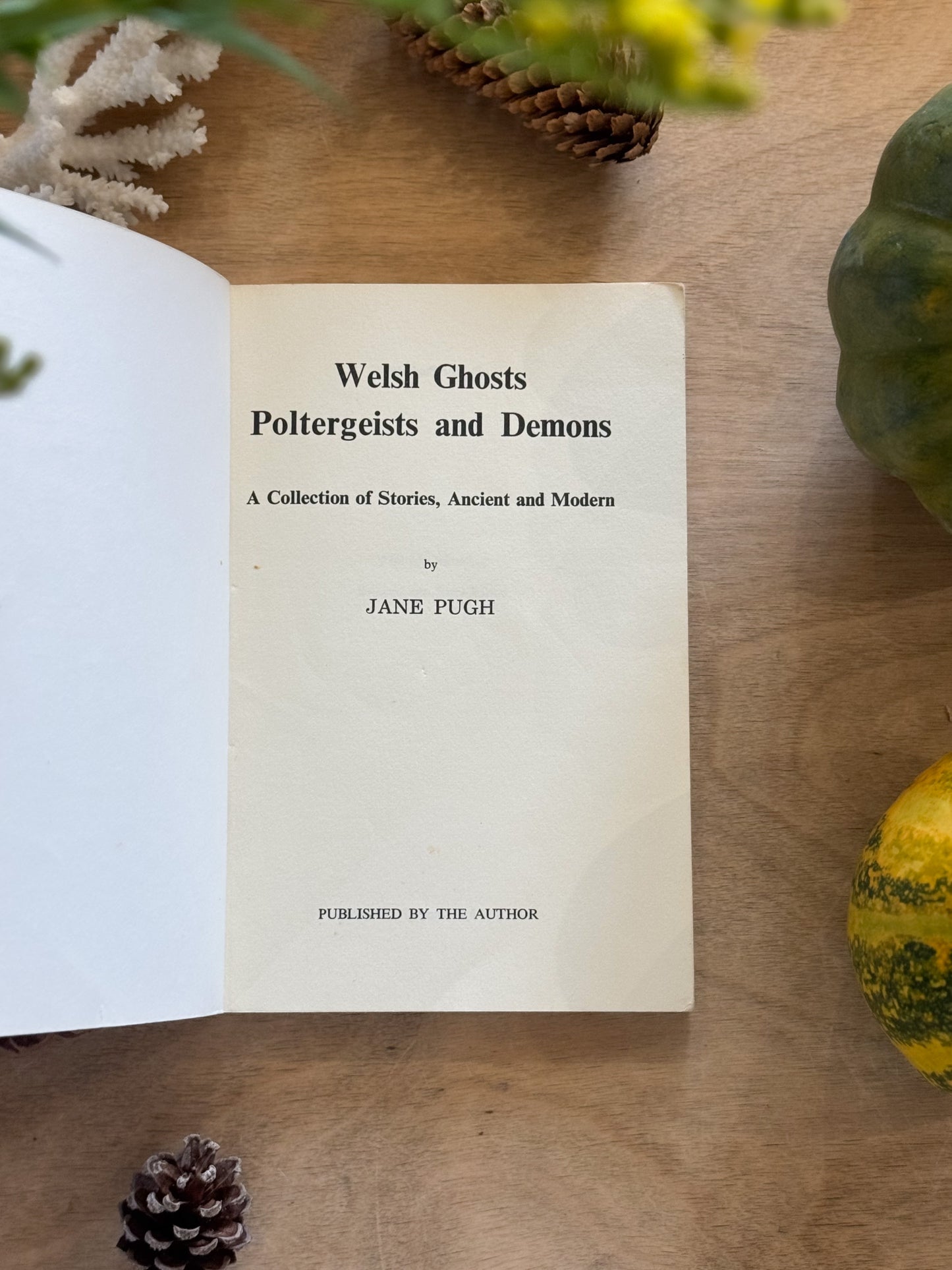 Welsh Ghosts, Poltergeists & Demons
by Jane Pugh, 1978