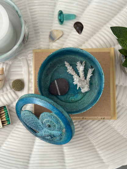 Vintage Brass Sea Shell Trinket Box with Incredible Verdigris