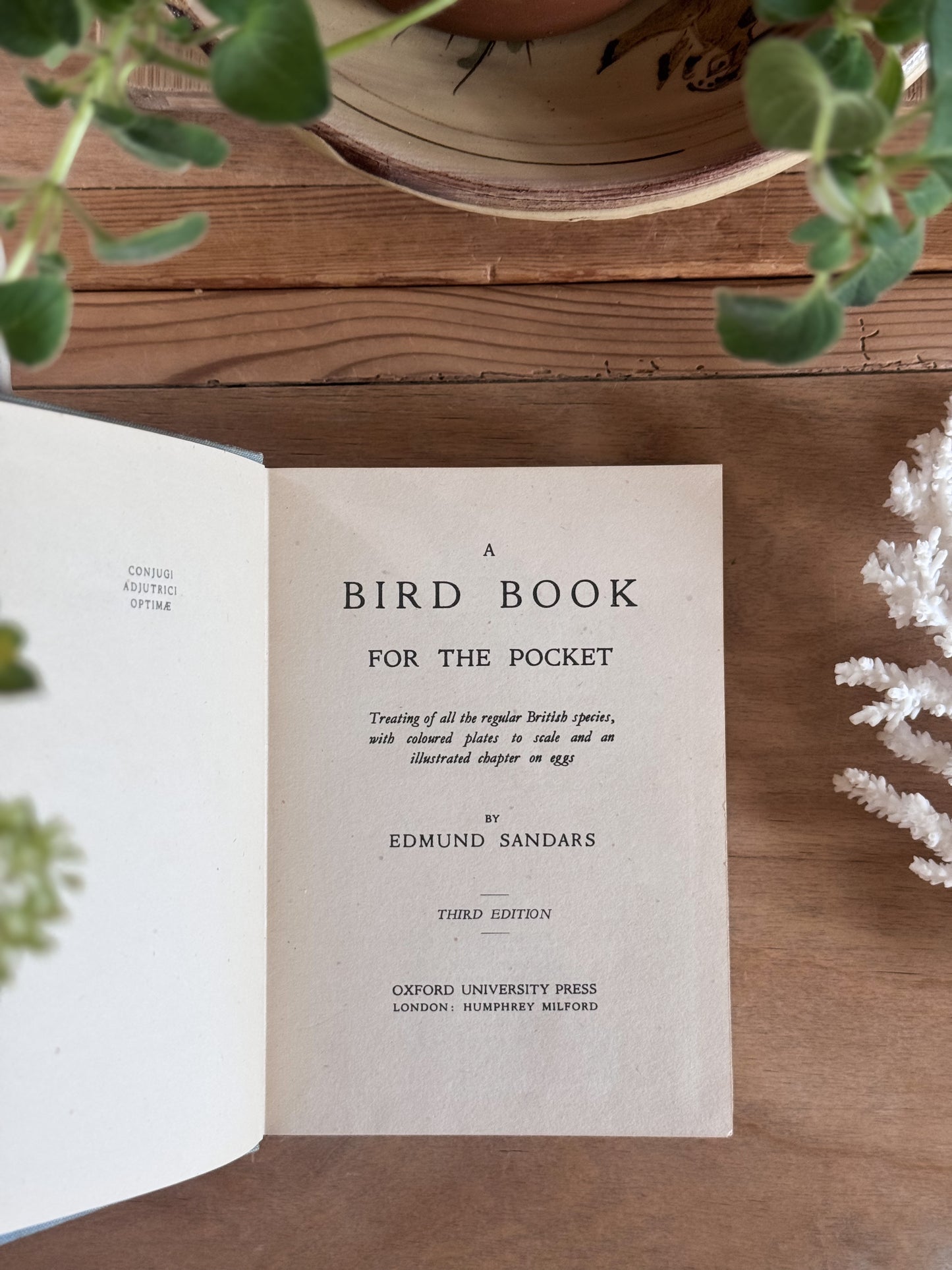 A Bird Book for the Pocket - Edmund Sandars, 1945