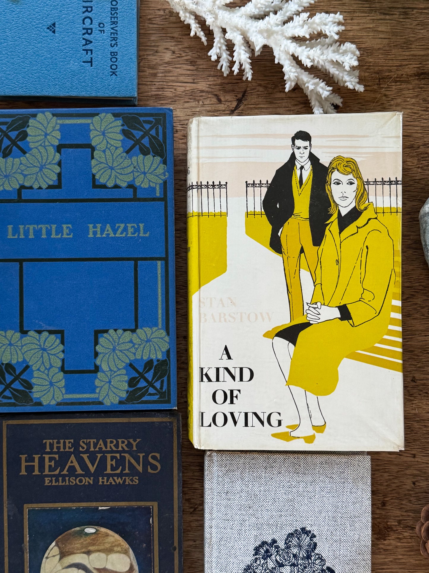 Hiraeth Vintage Limited Edition Mystery Vintage Book Bundle