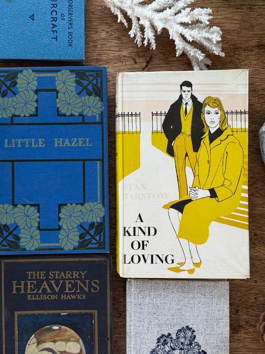 Hiraeth Vintage Limited Edition Mystery Vintage Book Bundle