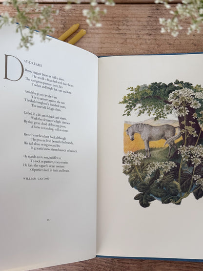 Bird, Beast & Flower by Marie Angel & Ian Parsons | Vintage Illustrated Poetry Book, 1982