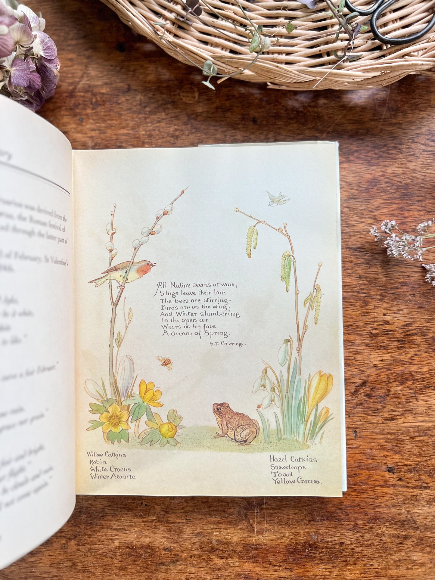 The Nature Notes Of An Edwardian Lady, Edith Holden, 1989