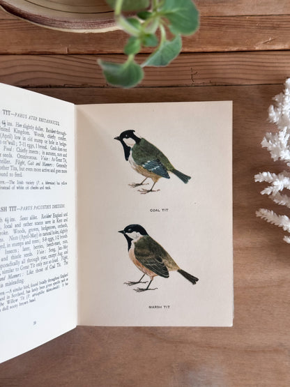 A Bird Book for the Pocket - Edmund Sandars, 1945