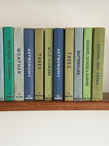 ‘Build Your Own’ Vintage Observer Pocket Book Bundle