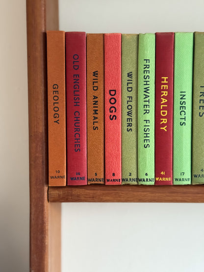 ‘Build Your Own’ Vintage Observer Pocket Book Bundle