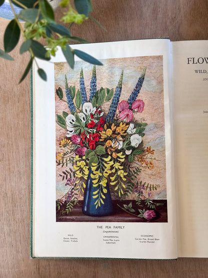 Flowers in Britain, L.J.F Brimble, 1947