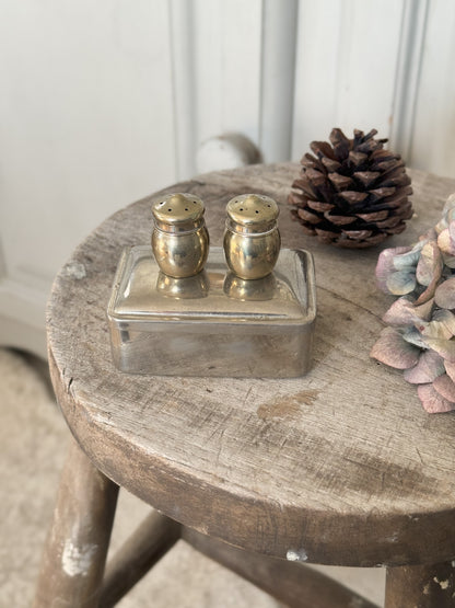 Miniature Silver Plated Acorn Shaped Salt & Pepper Shakers in Silver Plated Box