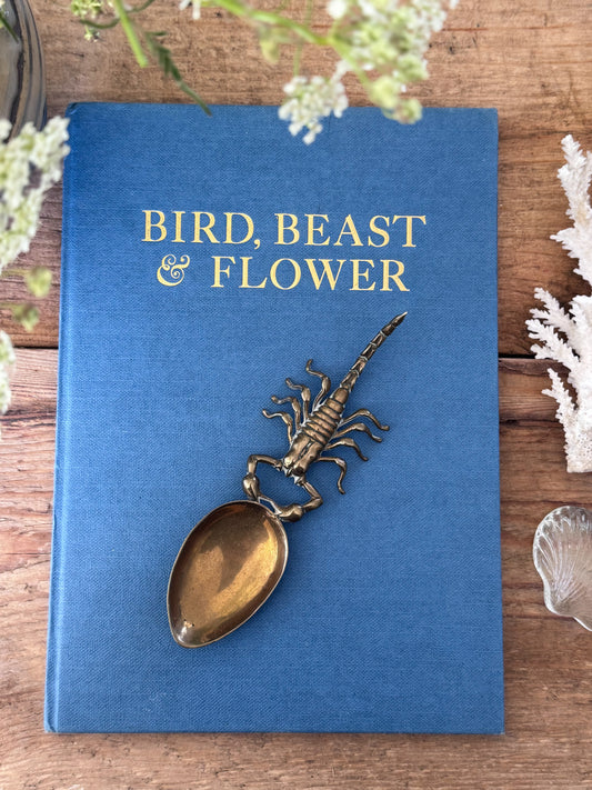 Vintage Solid Brass Scorpion Spoon