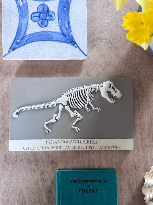 Vintage Natural History Tyrannosaurus Rex Skeleton Wall Plaque Tile