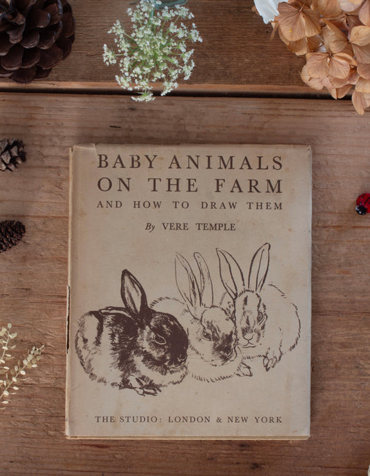Vintage 1950 ‘Baby Animals on the Farm and How to Draw Them’ by Vere Temple